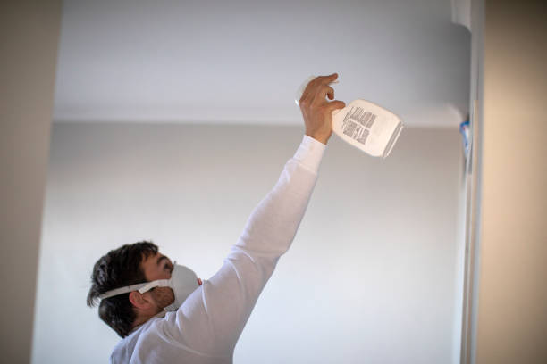 Best DIY Mold Remediation Support Services in Dillonvale, OH