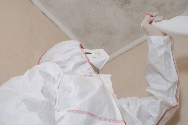 Best HVAC Mold Remediation in Dillonvale, OH